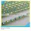 Plastic Rhinestone Trimming Sew on Ss6 2mm Crystal Apple Green Banding 1x200 Pcs 10 Yards