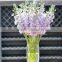  china stylish cut fresh violet flowers