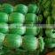 Nylon monofilament fishing net---0.15mm---3.5CM