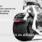 2 Wheels Self Balancing Draft 1018 Inch Big Wheel Two Wheel Electric Scooter