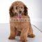 Qirui Hot Selling Dog Nail Clipper