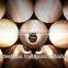1/2" to 8-5/8" High Quality Steel Pipe to AS, KS, BS, ASTM, API, JIS with many grades...