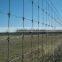 Grassland Fence