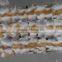 100% Natural Real Fox Fur Plate / Wholesale Price Fox Fur Blanket