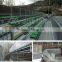 Metal tribune temporary grandstand for games