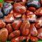 Red Jasper Stone Hearts Romantic Crystal Love Gifts