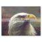 The Eagle Handmade Oil Painting 2015 ROYI ART