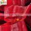 1.5-2cm red hot chilli ring chilli circle for hot pot spicy crisp hot condiment