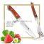 color wood casting handle stainless steel steak knife and fork