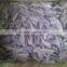 Zhoushan farming headless frozen small croaker