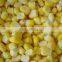 Non-GMO Frozen Sweet Corn Kernels IQF Sweet Corn Kernels