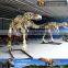 MY Dino-O11 Museum replica life size dinosaur skeleton for sale