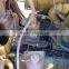 USED BULLDOZER CAT D9R