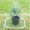 Mini PVC garden cloche LJ-3006