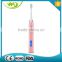 Home Teeth Whitening Double Headed Electric Toothbrush with CE Approved