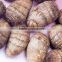 Chinese Taro Products 50-60g Size