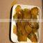 tuber uncinatum black truffles free tuber naked tuber terminal
