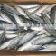 mackerel 100-150g