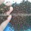 Ace standand dap fertilizer dap fertilizer prices