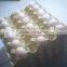 Paper waterproof egg trays/Plastic food tray/ Plastic incubator egg tray