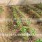 Irrigation Drip tape fittings/Drip pipe/tube