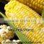 China made cost saving popcorn snack food production line