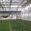 Natural ventilation green house for vegetables