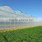 Greenhouse Plastic film for Agriculture