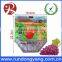 CPP Plastic Stand up Pouch Slider Zip Lock Protection Fruit Bag for Grape