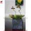 Succulent plants potted succulent artificial bonsai plant succulent