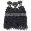 Wholesale Beauty Supply Distributors Raw Unprocessed Malaysian Curly Hair Extension Human