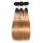 Two tone colored hair 1b/27 ombre hair extensions silky straight brazilian hair weave bundles