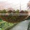 100% virgin HDPE harvest mesh netting plastic agricultural olive net