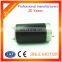 24V 800W Permanent Magnet Motor CCW