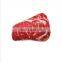 HQP-WJ105 HongQiang Pet vegetables bread meat food plush squeaks toy chew interactive pet dog toy