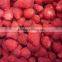 bulk frozen strawberry in package size