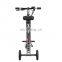 3 wheel portable folding electric bike/electric bicycle/mini folding e-bike/ebike