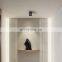 Modern Minimalist Geometric Black And White Ceiling Lamp Metal LED Single Head Double Head Ceiling Decorative Lamps