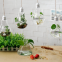 Home Decoration Hand-blown Hanging Mini Indoor Bulb Shaped Glass Plant Terrariums Vase