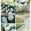 Elegant Flower Printing Colorful Magic Zhejiang Wholesale 3d Bedding Sets