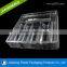 Dongguan Supply Transparent Plastic Cosmetic Packaging Tray