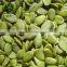 Dried Edible Chinese Pumpkin Seeds,2015 Crop