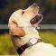 Appello 4P GPS Pet GPS Tracker For Cats & Dogs