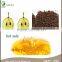 China Supplier Price Grape Seed Extract Grape Seed Oil for Skin Care
