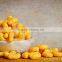 Snack food processing line
