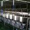 Protein Beverage Production Line for Walnut Kerrnel