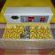 Factory Price Chicken 176 Eggs Incubator For Hatching Eggs