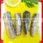Canned Sardines in vegetable Oil 125g