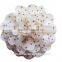 DIY Child Girls Hair Accessory Chiffon Dots flower 11CM Headwear No Clip                        
                                                Quality Choice