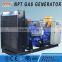 300kW cow maneuver biogas generator
